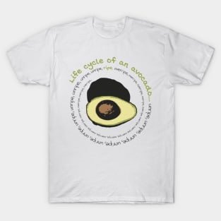 Life cycle of an avocado T-Shirt